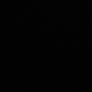 Meet your Posher, Dakota